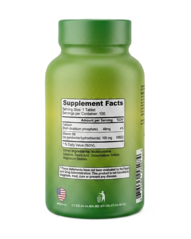 Alfa Vitamins Vitamin B6 100mg bottle front label with FDA registered and NSF certified badges