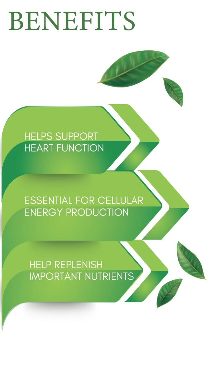 "Alfa Vitamins CoQ-10 benefits infographic showing heart function support, cellular energy production, and nutrient replenishment for cardiovascular health"